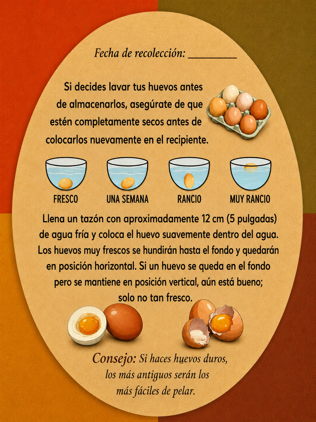 1.1 Tray of 30 Organic Brown Eggs